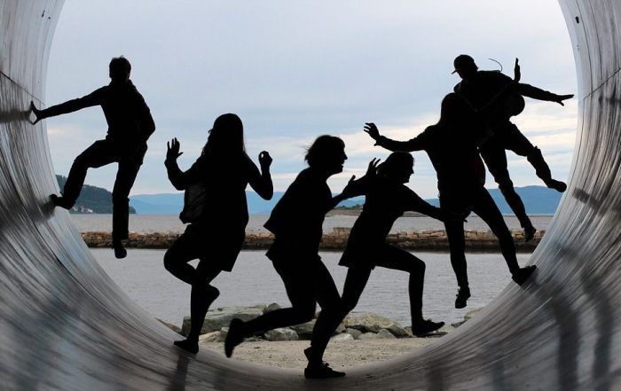 società di comodo